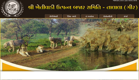APMC Talala Gir